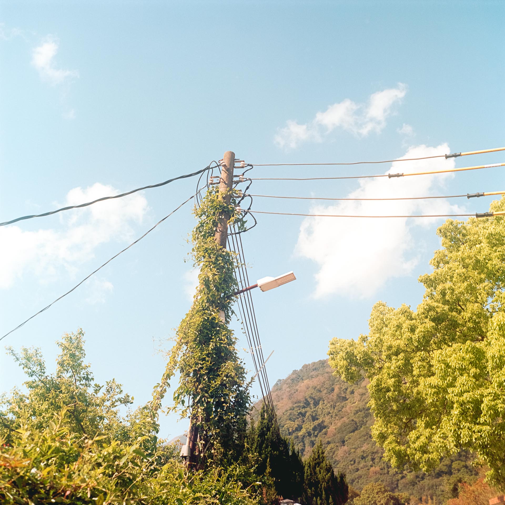 台灣 (Taiwan)