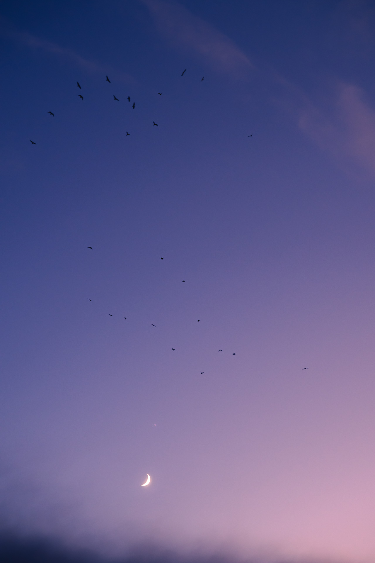 Twilight