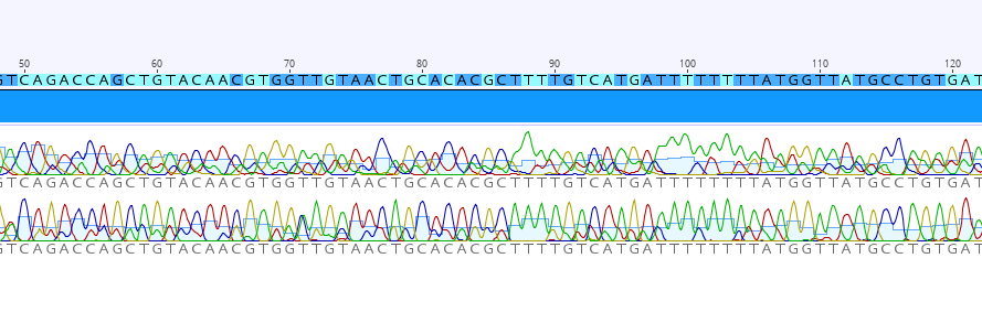 Two poor reads still managed to produce a usable consensus sequence